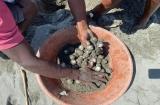 Comunidades del Pacífico se unen para proteger a las tortugas marinas