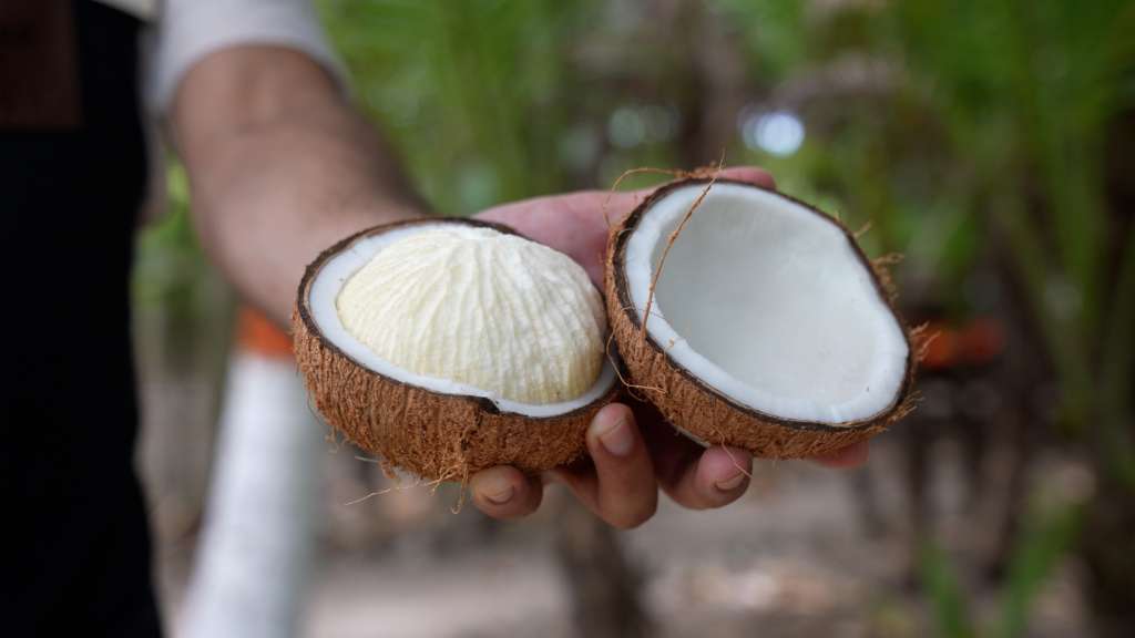 Coco
