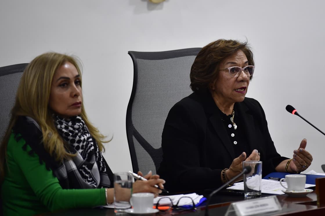 Rosa Villavicencio Viviana León Herrera pasaportes 2026