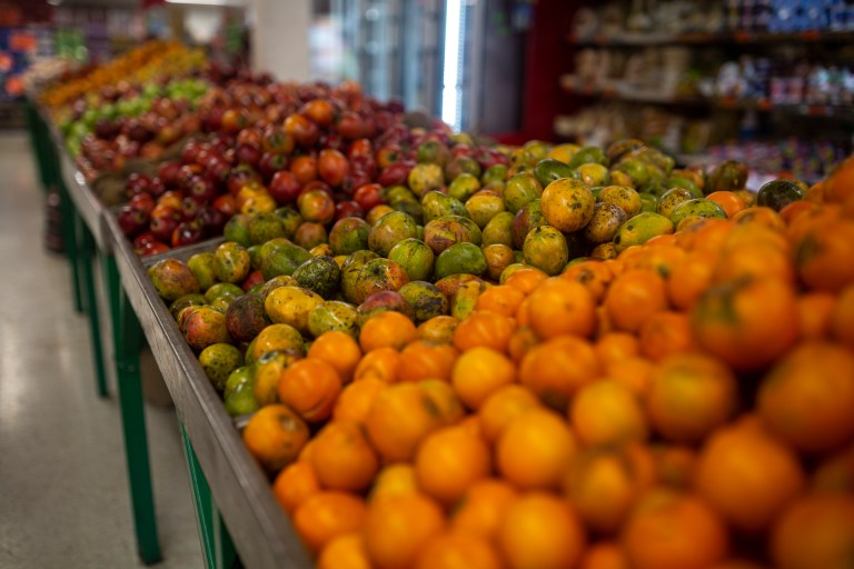 Producir alimentos mientras se conserva, los retos y oportunidades en Colombia
