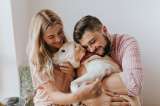 ¿Cómo hacer que mi perro me quiera más?