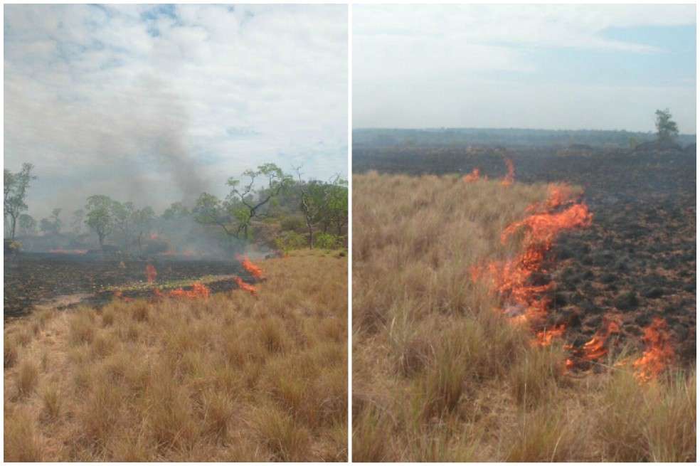 Autoridades habían encontrado 12 focos de fuego. / PNN