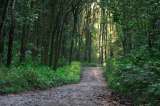 Otro parque natural en Colombia abre sus puertas al ecoturismo