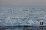 El Polo Norte podría estar libre de hielo en verano muy pronto, según investigación