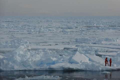 El Polo Norte podría estar libre de hielo en verano muy pronto, según investigación