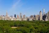 La diversidad biológica de las grandes capitales del mundo