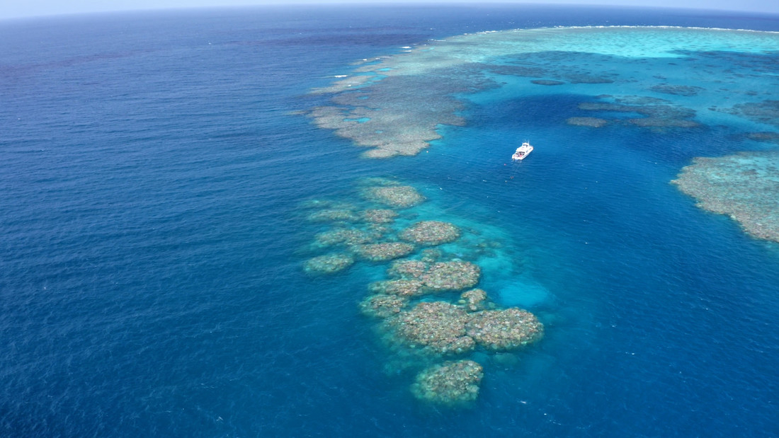 GRAF6289. SÍDNEY, 25/03/2022.- Las autoridades de Australia confirmaron este viernes que la Gran Barrera de Coral, situado en el noreste del país, sufre un blanqueo masivo de corales, el sexto desde 1998, a pesar de las condiciones por el fenómeno de La Niña, que ayuda a enfriar las aguas. Este blanqueo vinculado al cambio climático se produce en momentos en que una misión de la Unesco evalúa entre el 21 y el 30 de marzo la salud de la Gran Barrera, que corre el riesgo de ser incluida este año en la lista de Patrimonio en Peligro, así como las medidas adoptadas para protegerla en el marco del Plan Arrecifes 2050. EFE/Grumpy Turtle Films SOLO USO EDITORIAL/SOLO DISPONIBLE PARA ILUSTRAR LA NOTICIA QUE ACOMPAÑA (CRÉDITO OBLIGATORIO)