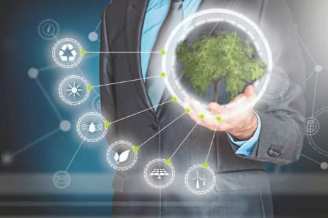 Innovación empresarial para salvar al planeta