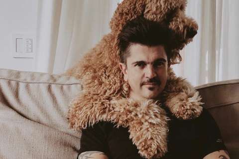 6 famosos que celebran el Día del Perro con sus costosas mascotas