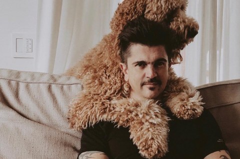 Él es Pluto, la mascota de Juanes que inspiró la canción ‘Por un perro’
