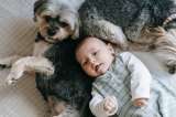 5 beneficios para los niños que tienen perro