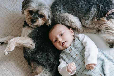 5 beneficios para los niños que tienen perro