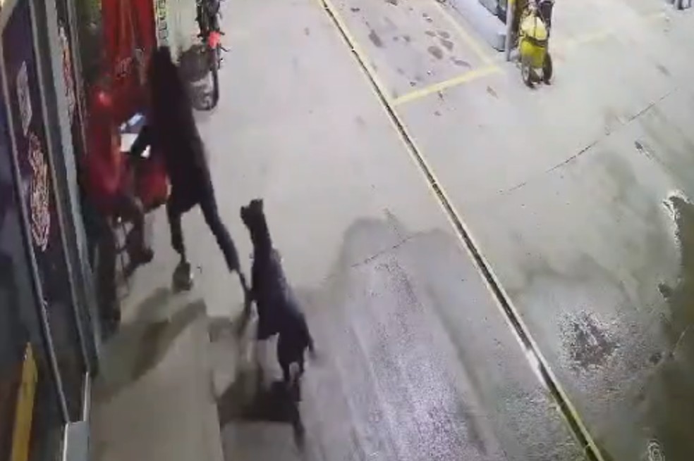Perrito defendió a empleado de un robo en Boyacá: atacó al ladrón.