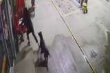 (Video) Perrito defendió a empleado de un robo en Boyacá: atacó al ladrón