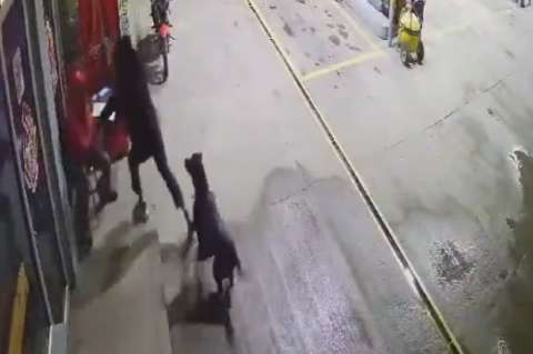 Negra, perrita que atacó a ladrón en gasolinera, recibió regalo de Navidad