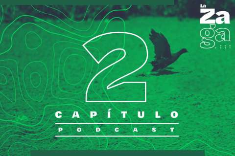 Pódcast La Zaga: El gran pantano de la Sabana