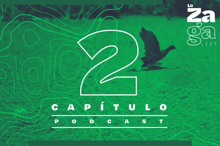 Pódcast La Zaga: El gran pantano de la Sabana
