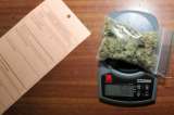 Venta de cannabis en farmacias de Uruguay inicia el próximo miércoles 