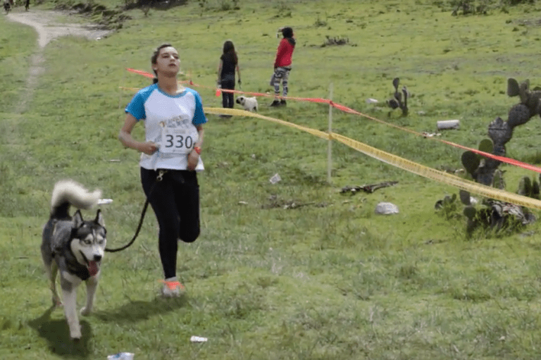 Mushing, la práctica deportiva de correr junto a perros