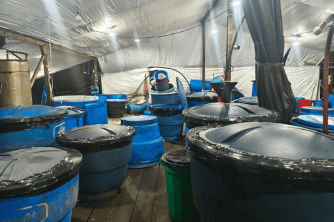 Destruyen megalaboratorio de cocaína de las disidencias en El Tambo (Cauca)