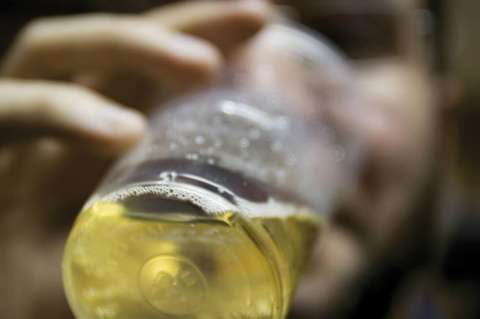 El daño cerebral inducido por el alcohol no cesa al dejar de beber