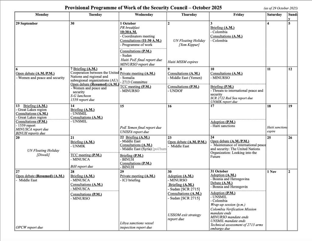 Programa Provisional de Trabajo del Consejo de Seguridad.