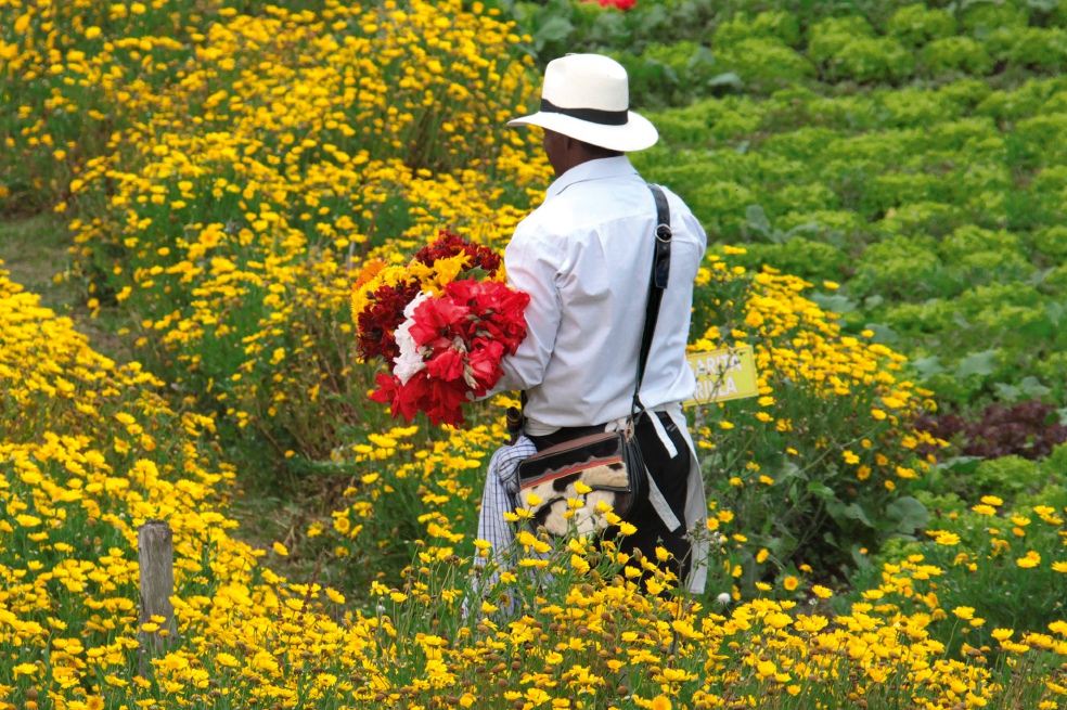Los silleteros viven entre flores, no sólo para la época de feria. Ellos les abren sus puertas a turistas del mundo en cualquier época del año.  / Héctor Hernán Vanegas - Tomadas del libro “Desfile de Silleteros 60 años”
