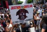 Maltrato animal: Brasil se moviliza y exige justicia por la muerte a golpes de un perro