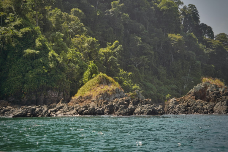 Gobierno avala obra en isla Gorgona: el debate por la construcción de muelle y radar