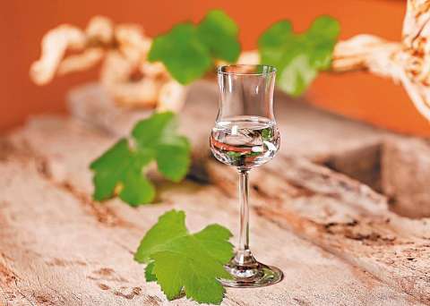 Pisco Week Colombia: una semana para saborear 400 años de tradición peruana