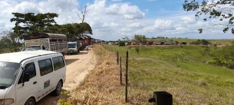 ¿Qué está pasando con los ex-Farc en el espacio territorial del Yarí, en Meta?