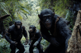Algunos datos para antes de ver “El Planeta de los Simios: Nuevo Reino”