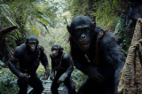 Algunos datos para antes de ver “El Planeta de los Simios: Nuevo Reino”