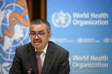 La OMS establece en India el primer centro mundial de medicina tradicional