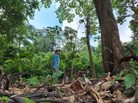Así es la vida de Sixta Yáñez, una cordobesa que preserva el trabajo campesino