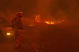 Incendios forestales de California alcanzan récord de 800.000 hectáreas quemadas