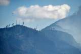 El trabajo en las montañas de Bogotá para extinguir el fuego