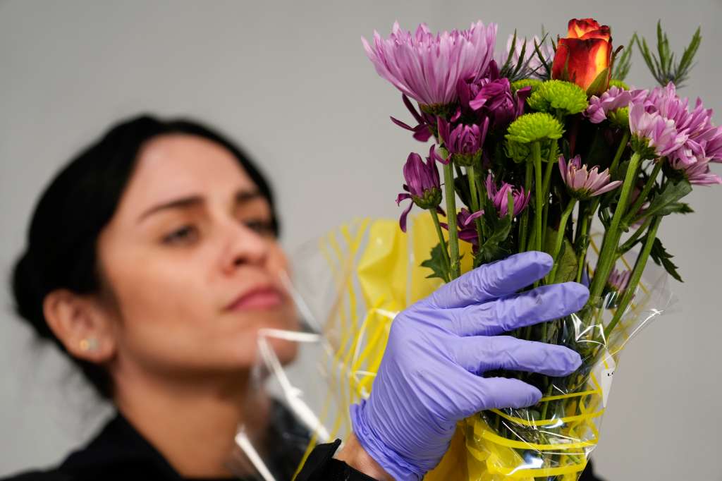 Control de flores colombianas en Estados unidos