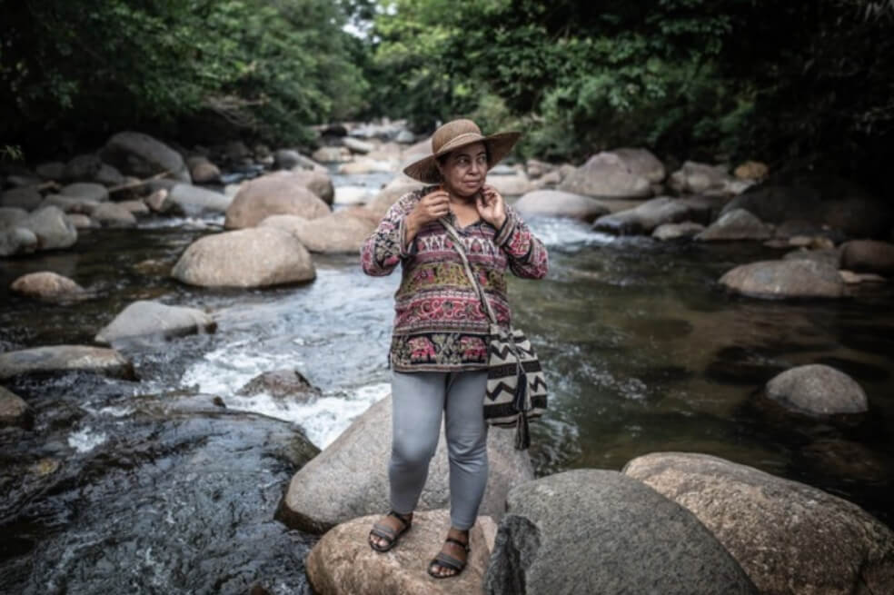 Tomada del informe Defensoras de derechos agrarios, territoriales y medioambientales en Colombia.