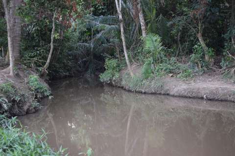 Recuperación del Arroyo Corozal: un ejemplo de gobernanza local