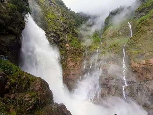 El Salto de Candelas es una imponente cascada ubicada en el municipio de Pajarito, Boyacá, considerada una de las más altas de Colombia con una caída de alrededor de 200 metros. Formada por las aguas del río Cusiana y rodeada por un bosque de la cordillera Oriental de los Andes, este lugar destaca por su riqueza natural, sus paredes rocosas en forma de herradura y su potencial para el ecoturismo. Para llegar, se debe viajar desde Bogotá hacia Pajarito por la ruta Tunja–Paipa–Duitama–Sogamoso y, una vez allí, iniciar una caminata desde la vereda Corinto atravesando puentes colgantes y senderos rocosos hasta llegar a la cascada.