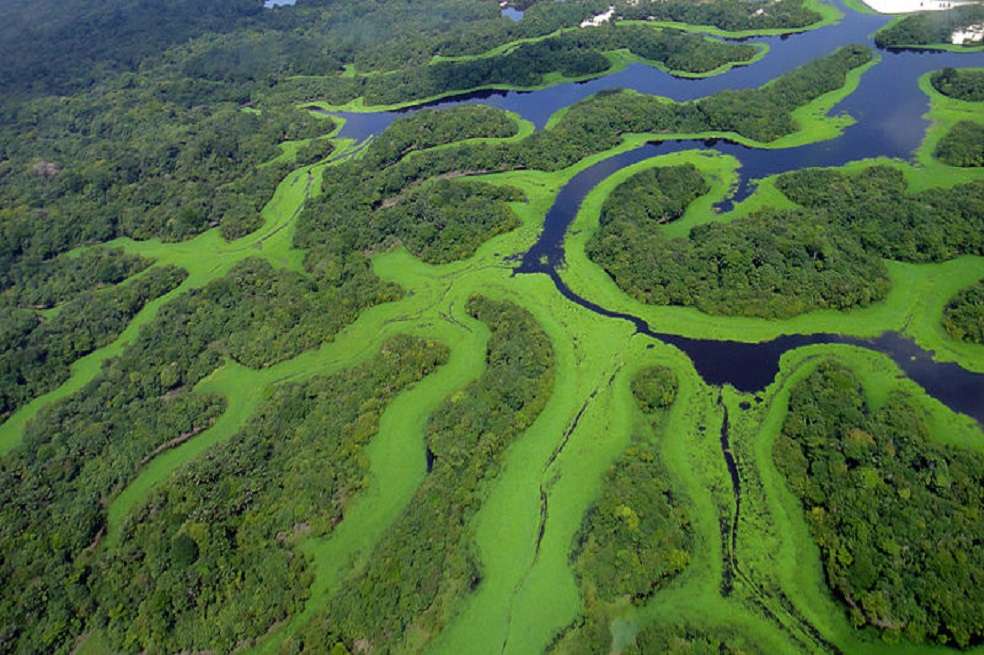 Las inundaciones se dieron hace entre 23 y cinco millones de años, en el Mioceno.
/ Lincoln Barbosa