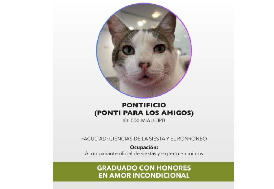 Este tipo de iniciativas refleja una tendencia creciente en instituciones educativas y organizaciones que promueven el bienestar animal y la adopción responsable.
