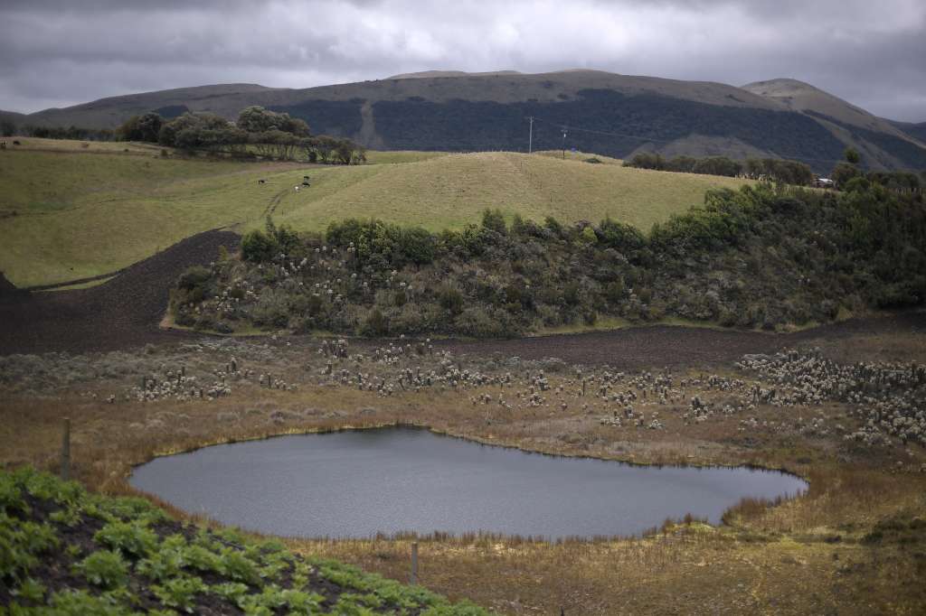 También llamada laguna de La Bolsa,​ está ubicada en la falda del volcán Cumbal, diferentes aspectos de esta: Turismo, campesinos, lanchas, páramo, actividades culturales.