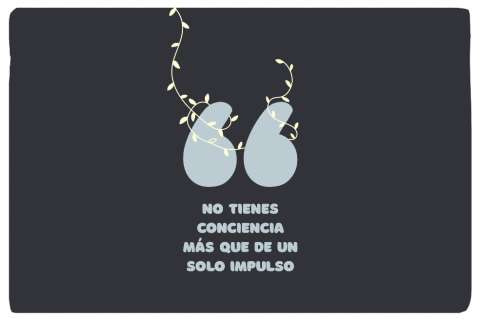 Goethe, sus tribulaciones y su obra (III)