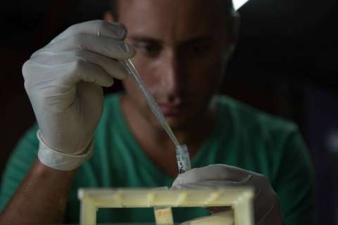 “En el mundo animal hay patógenos que nunca hemos experimentado”