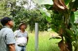 El Astro: la granja donde firmantes de paz y campesinos siembran futuro en Guacarí