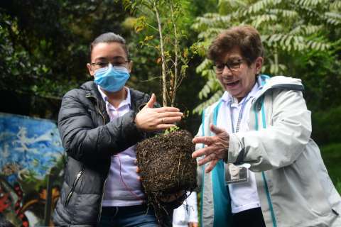 El jardín por la memoria de los 13 desaparecidos del Colectivo 82
