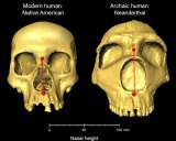 Los humanos heredamos la forma de la nariz de los neandertales