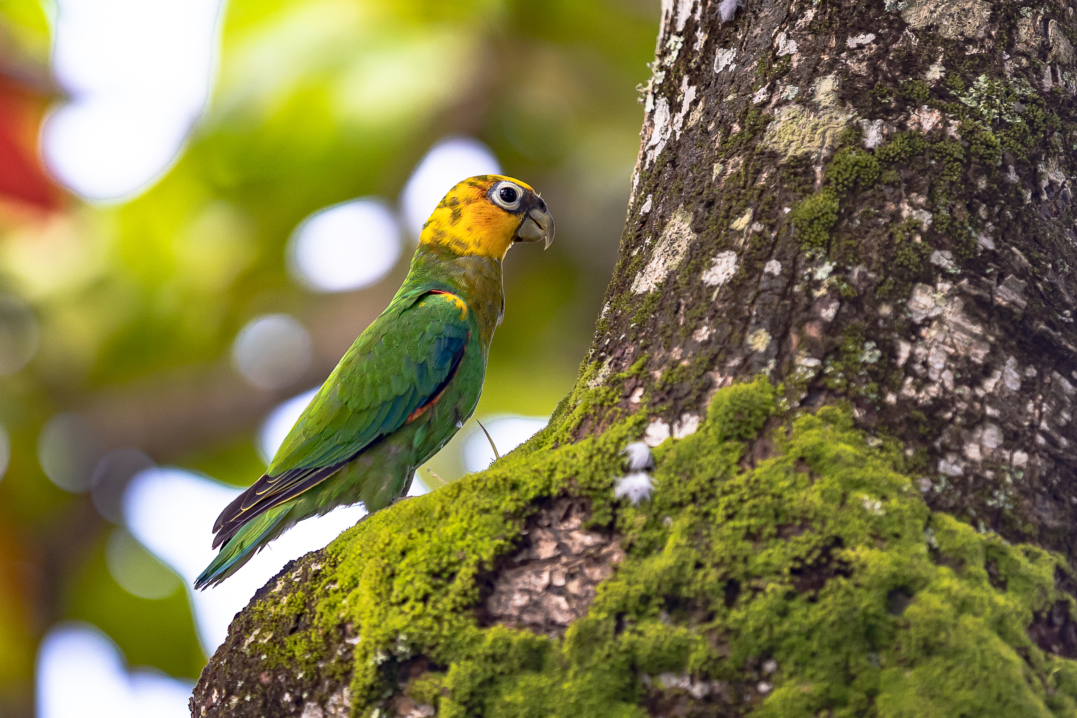 En Colombia urge movilizar el conocimiento sobre biodiversidad para que jóvenes en los territorios construyan una oferta turística / Foto: Felipe Villegas Instituto Humboldt